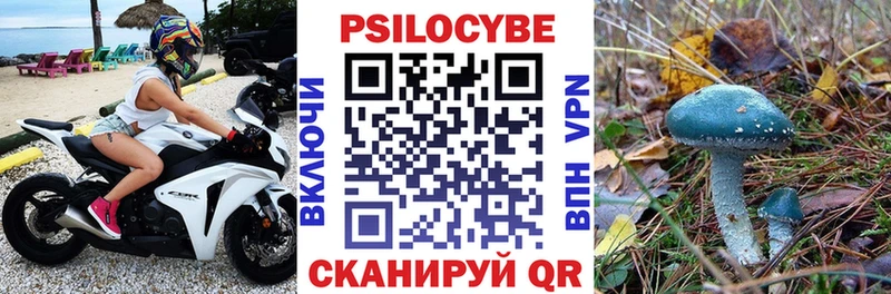Псилоцибиновые грибы MAGIC MUSHROOMS  это какой сайт  Краснознаменск 