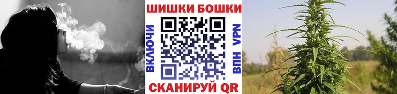 Бошки Шишки индика  Краснознаменск 